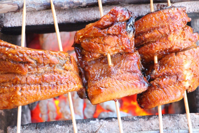 鰻のかば焼き～土用の丑の日