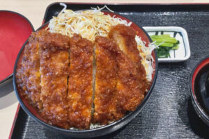 長野県ソースカツ丼